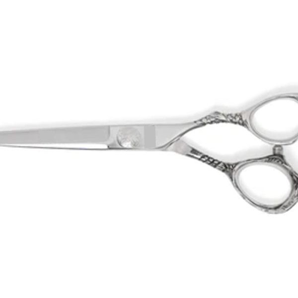 Home Use Scissors
