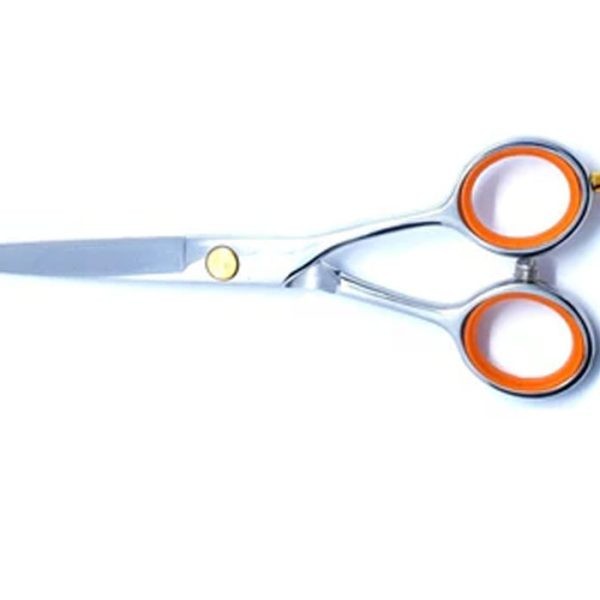 Home Use Scissors